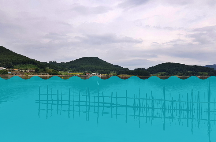 죽방렴